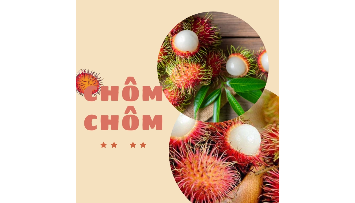 QUẢ CHÔM CHÔM FRESCO