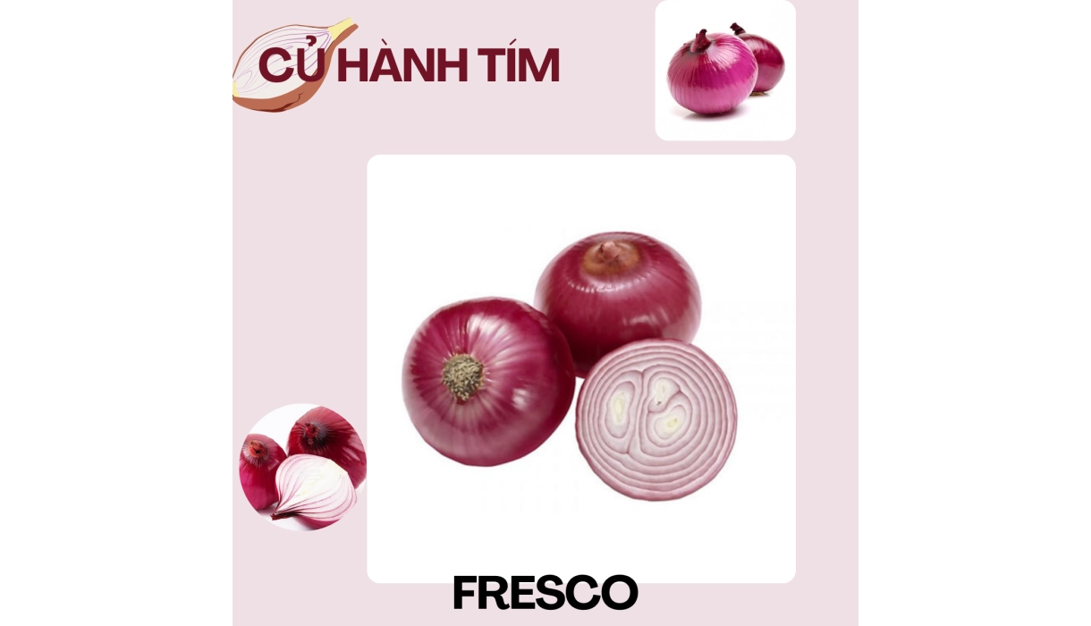 CỦ HÀNH  FRESCO