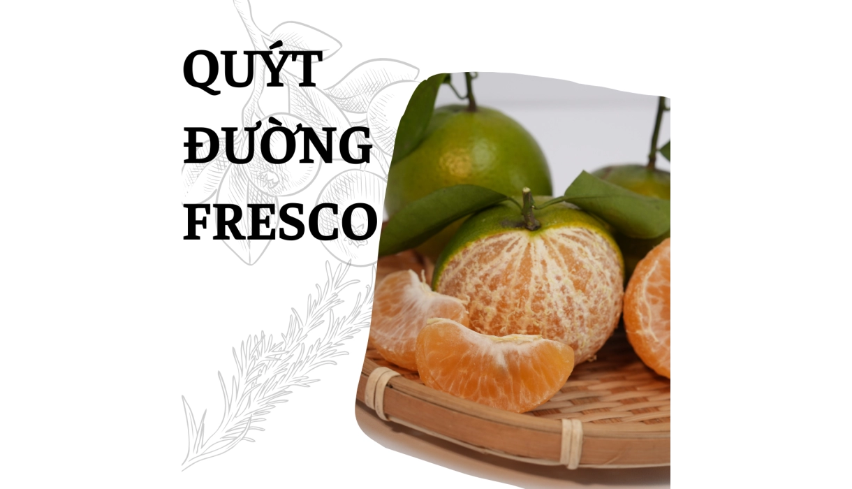 QUÝT ĐƯỜNG FRESCO