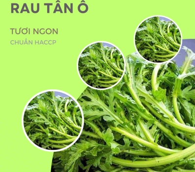 RAU TẦN Ô FRESCO