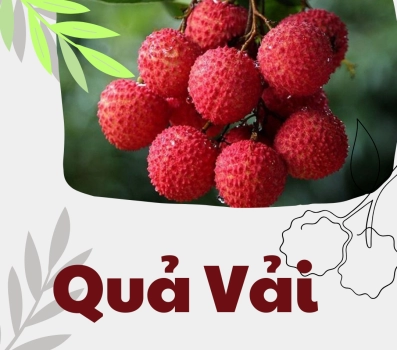 QUẢ VẢI  FRESCO