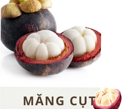 QUẢ MĂNG CỤT FRESCO