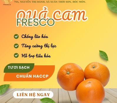 QUẢ CAM FRESCO