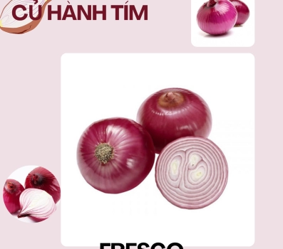 CỦ HÀNH  FRESCO